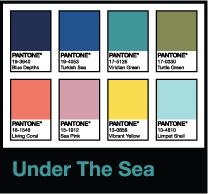 Pantone color of the year 2020 Under the Sea